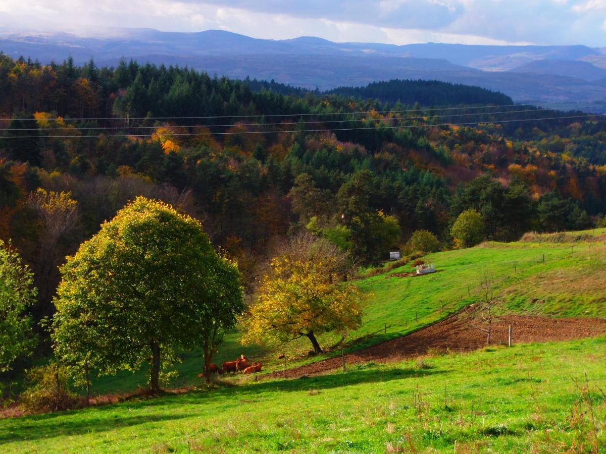 Le Vallon d'Armandine, gîte écologique Auvergne Saint-Hilaire  Exterior foto